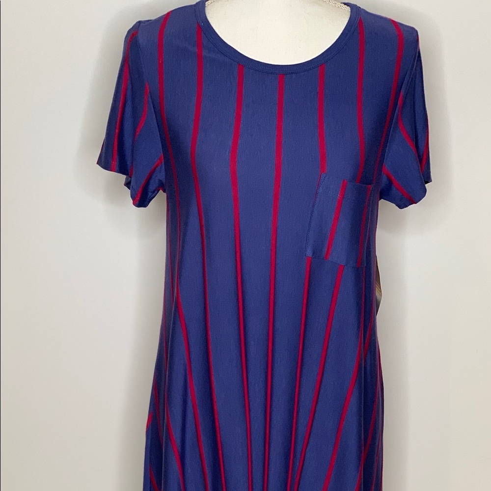 LuLaRoe Carly Dress